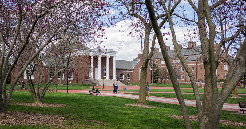 UD campus in spring