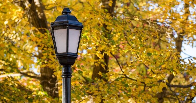 University of Delaware fall campus beauty