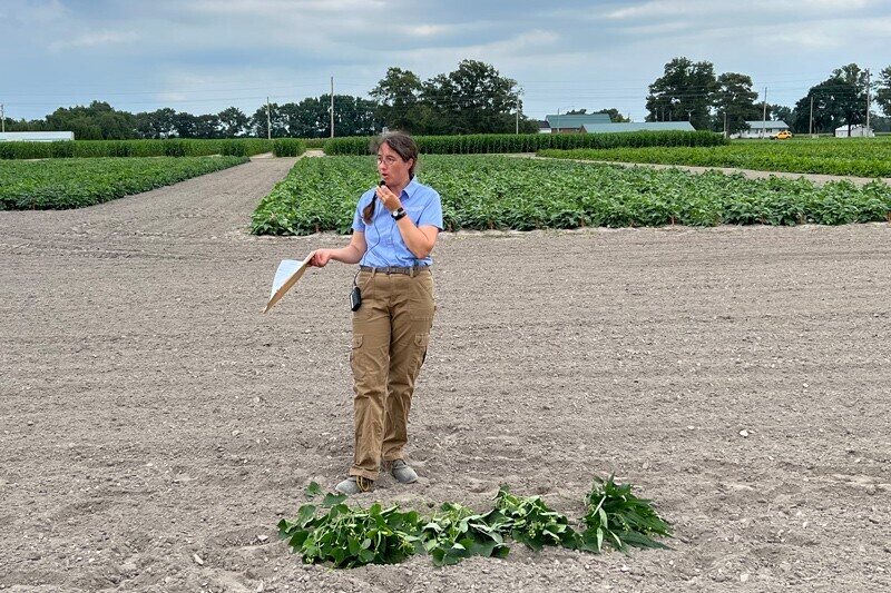 Emmalea Ernest displays some lima bean test plots at University of Delaware’s Carvel Research and Education Center in Georgetown, Delaware.