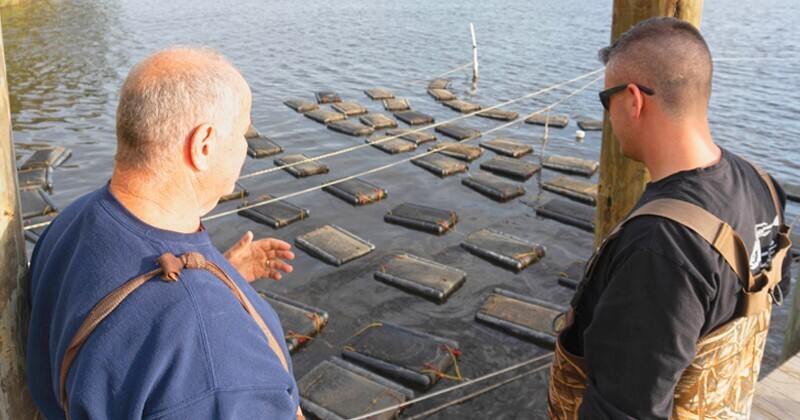 Delaware Sea Grant fisheries, aquaculture and seafood specialist Ed Hale advises a local oyster farmer tending to a cage-based aquaculture set-up in the Indian River Bay where 300 acres are available for the cage culture of Eastern Oyster (Crassostrea virginica), a food historically important to both the economy and culture of Delaware.