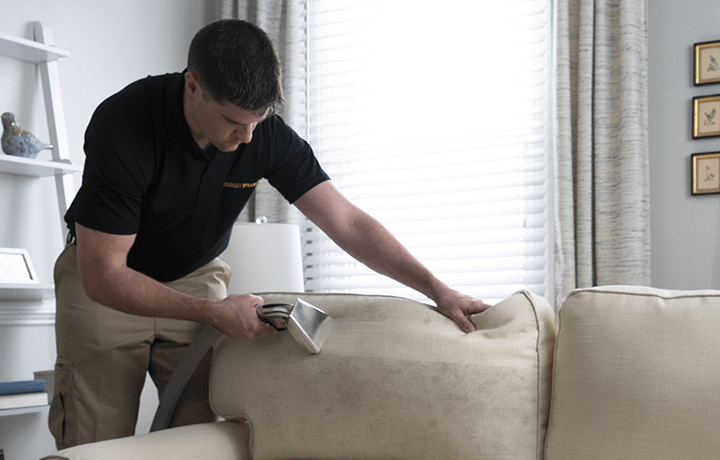 Technician cleaning microfiber couch