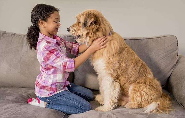 Young girl sitting with her dog on a couch.