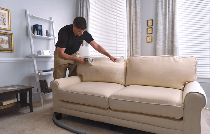 Stanley Steemer technician cleaning couch in living room