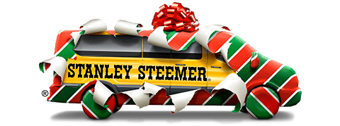 Stanley Steemer wrapped in gift paper