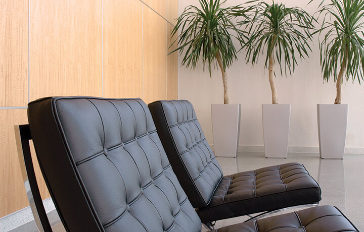 Clean leather furniture in office lobby