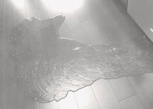 Water flooding out of a dishwasher on a kitchen floor. 
