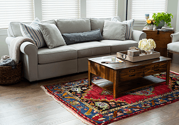 Natural light in living room with oriental rug