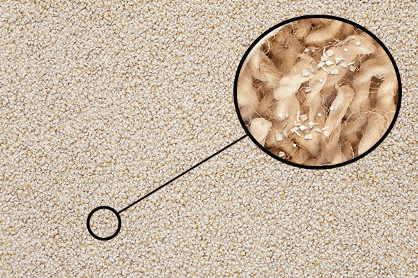 Carpet zoomed in on depiction of dander