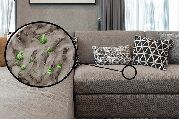 Couch zoomed into show depiction of bacteria