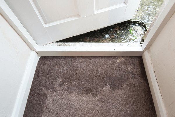 How To Dry Wet Carpet, What To Do If Basement Carpet Gets Wet