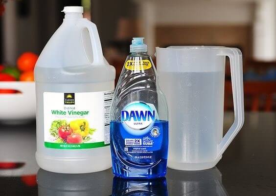 White vinegar, Dawn dish soap and a pitcher of water. 