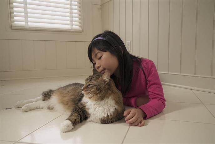 Young girl laying on a clean tile floor with a cat. 