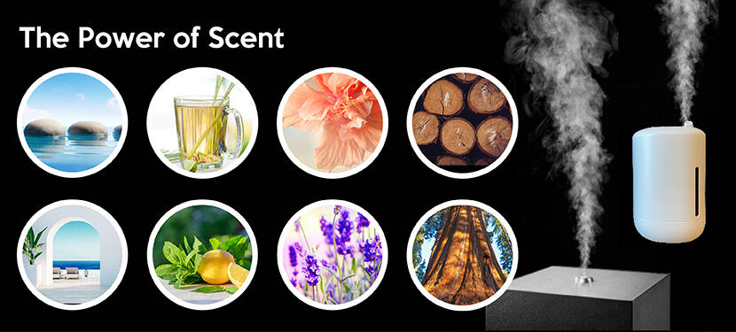Ambient Scenting – The Benefits of Scent Marketing
