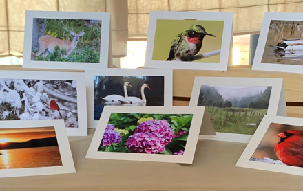 An assortment of nature photographed greeting cards sold by Stoneyridge Photos.