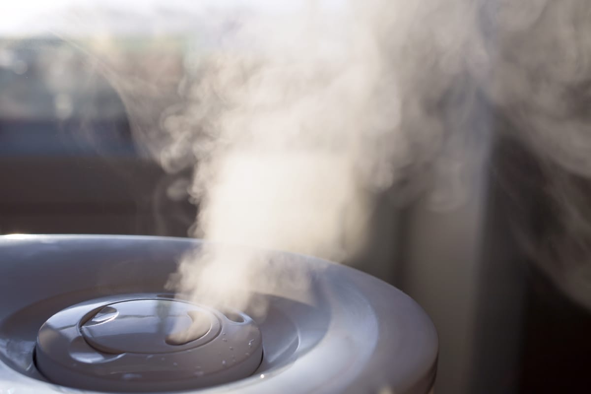 Can You Put Purified Water in a Humidifier? Find Out Now!