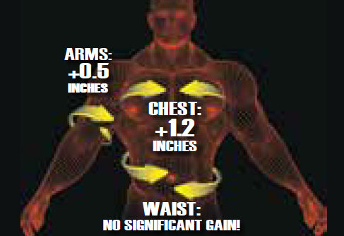 chart-chest-arm