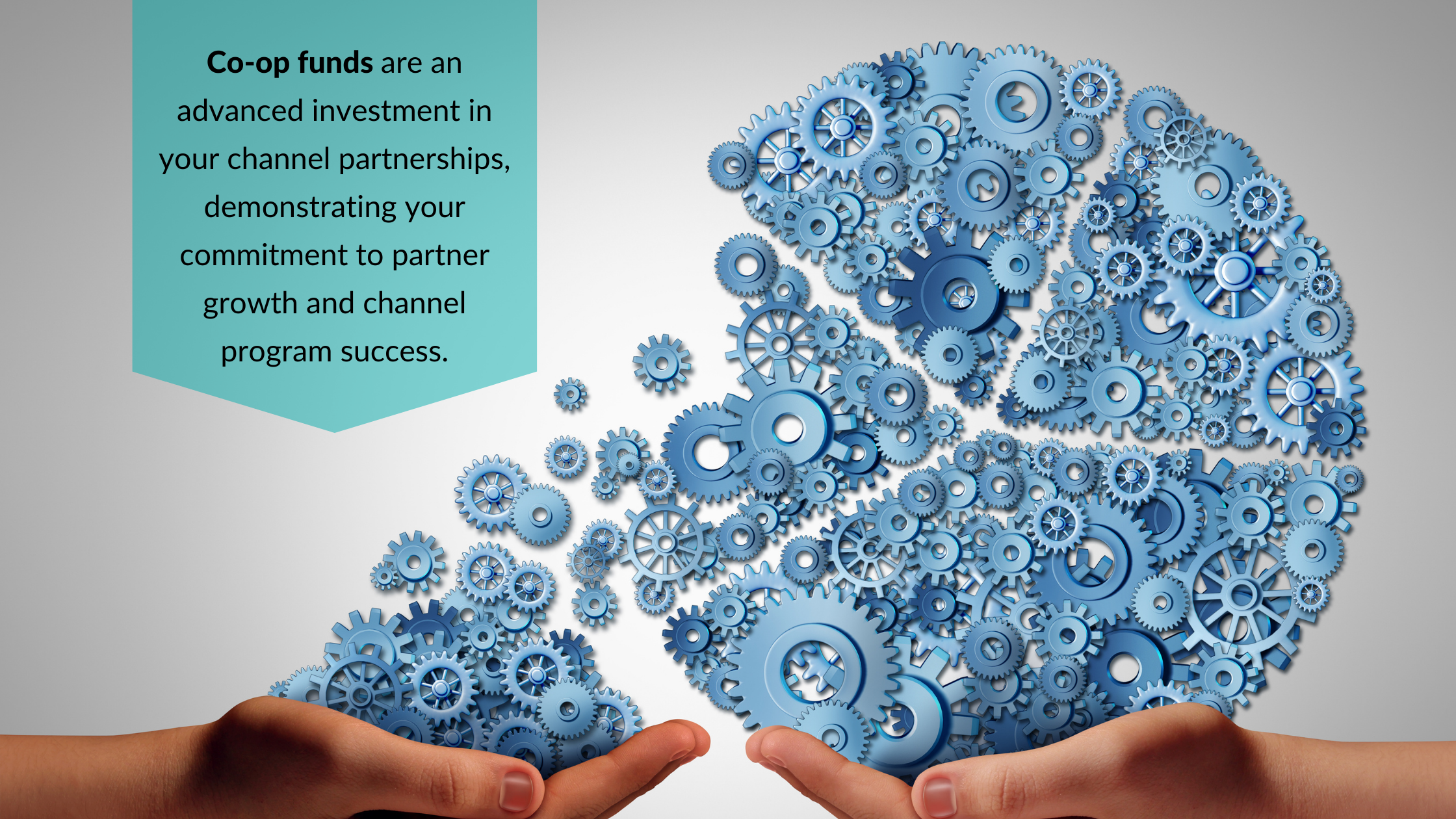What are Co-Op Funds & How do They Benefit Channel Partner Programs?