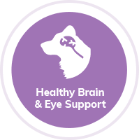 Healthy Brain & Eye Support badge