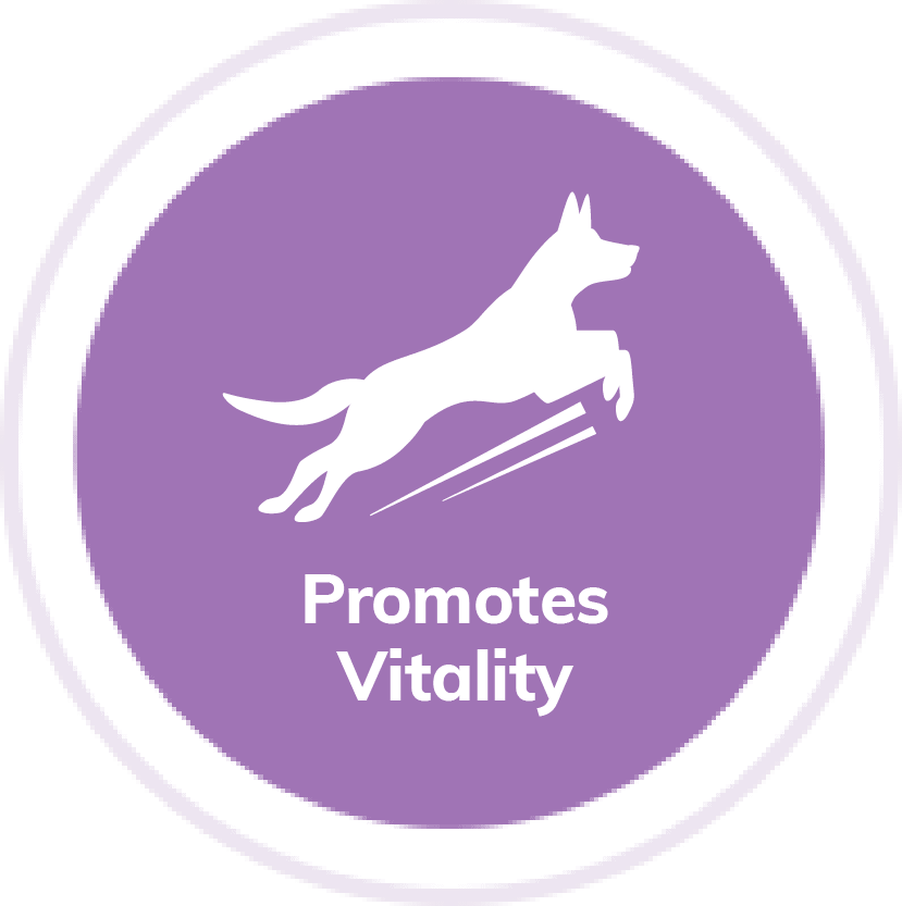 Promotes Vitality Badge
