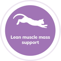 Cat Muscle Mass