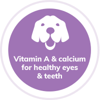 dog-healthy-eyes-teeth