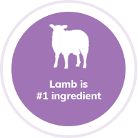 dog-lamb