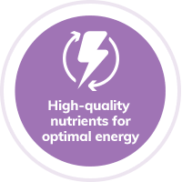 dog-nutrients-energy