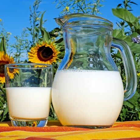 Vitamin D Supplier Cas 67 97 0 Brenntag