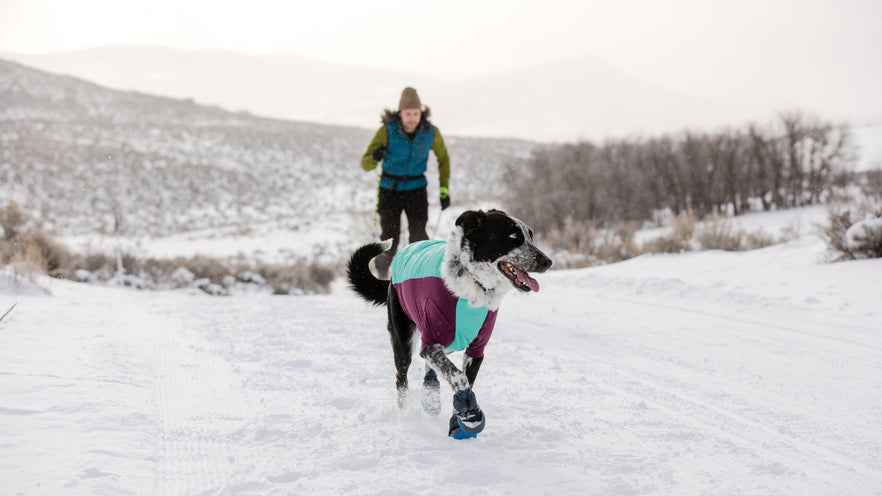 Millie wearing polar trex and cloud chaser in the snow.