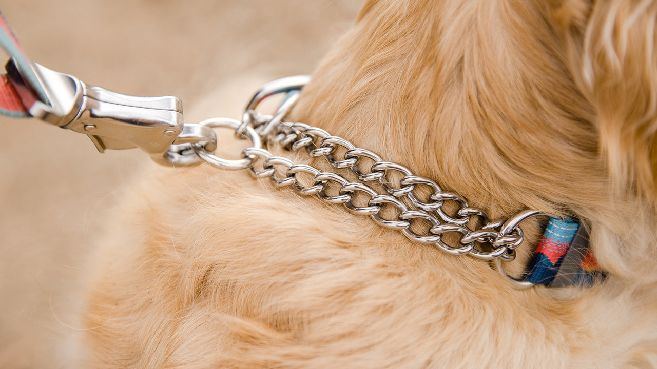 RUFFWEAR Chain Reaction Dog Collar Martingale Style for On-Leash Walking 