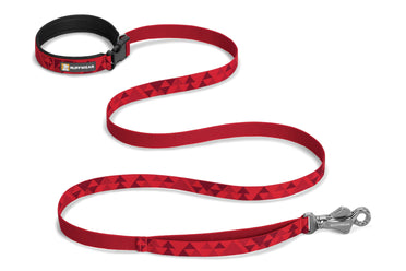 dog collar leash