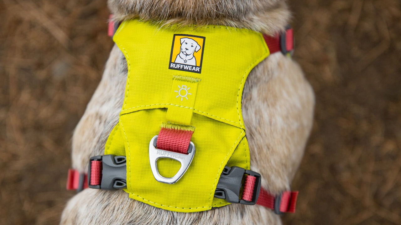 NEW Ruffwear Hi  Light Dog Harness Lightweight Everyday Harness  Doghouse – DOGHOUSE