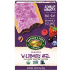 Nature's Path Wildberry Acai Pastries - Main