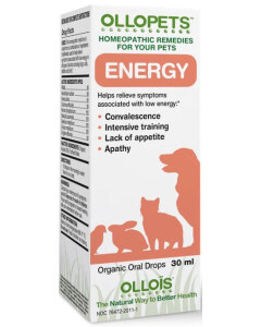 Ollopets Energy - Main