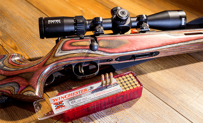 The .22 Long Rifle — 100-Plus Years and Still Going Strong