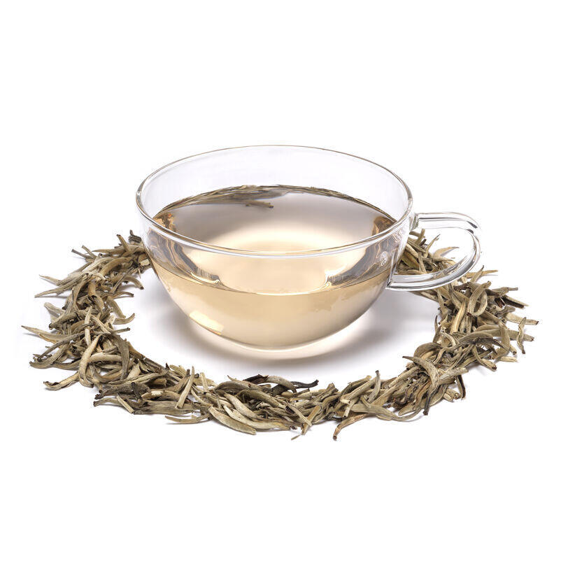 Silver Needle Loose Tea in Teacup