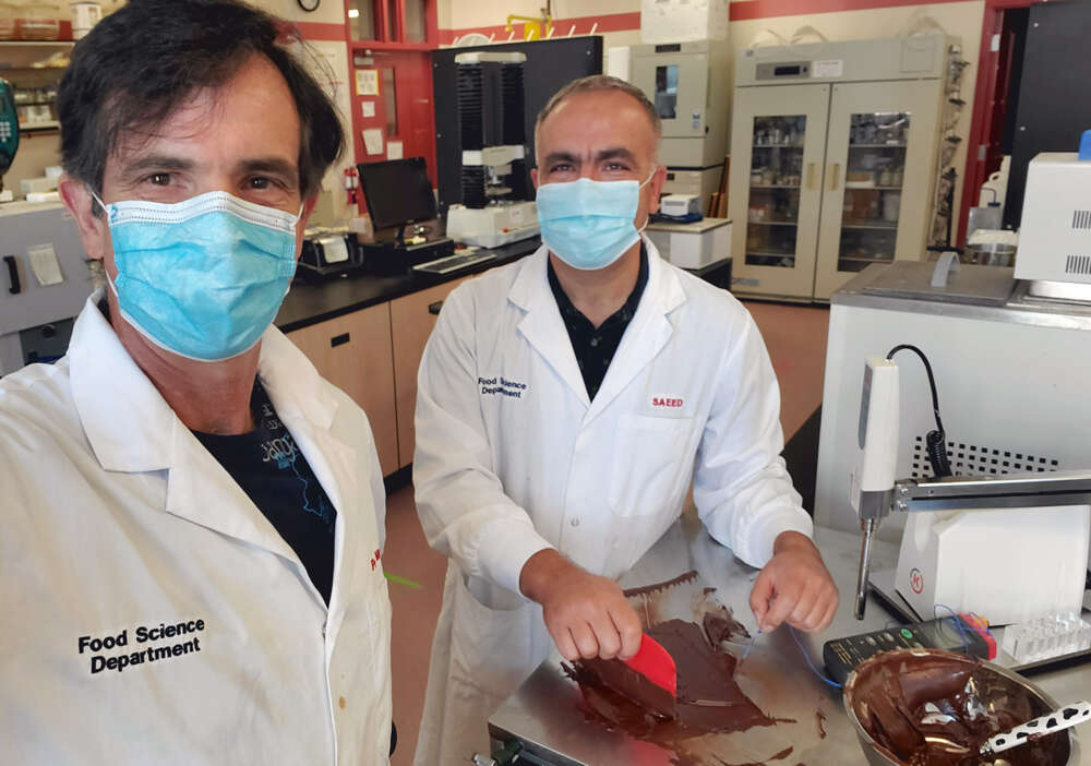 U of G Food Scientists Find Key to Perfectly Smooth Chocolate - U of G News