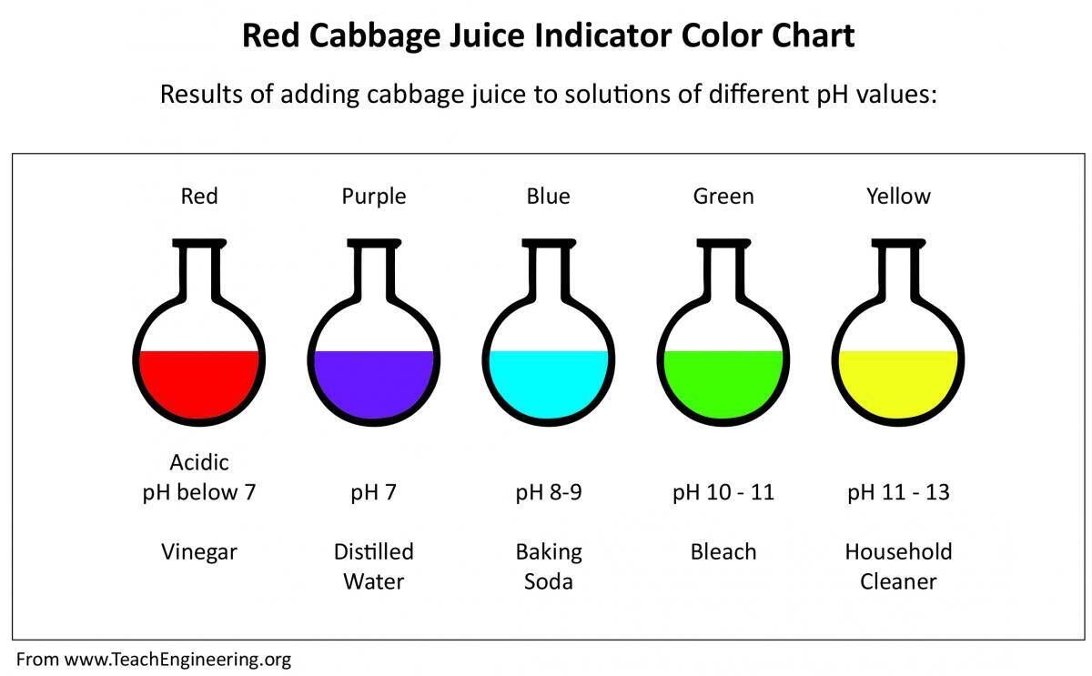 Acids, Bases & pH: Cabbage Chemistry - Yellow Scope