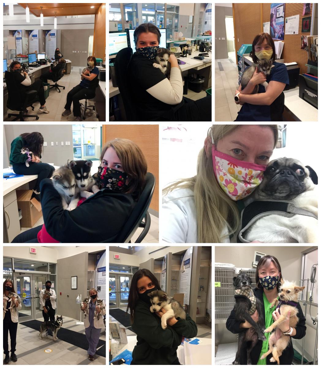 Kudos to the OVC Smith Lane Animal Hospital Team | Human Resources