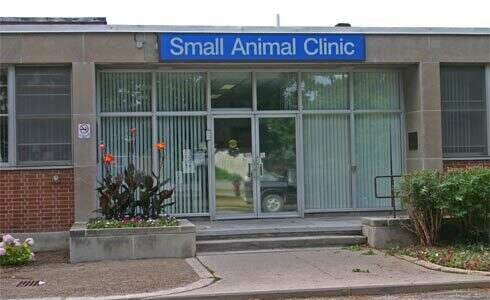 OVC James Archibald Small Animal Clinic | University of Guelph
