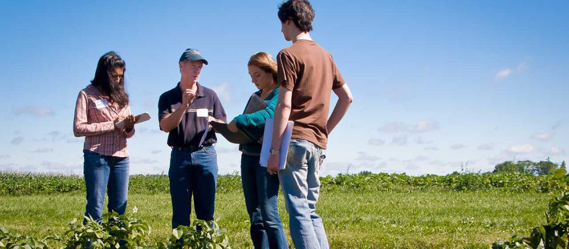 A professor and three students in a field collecting data.