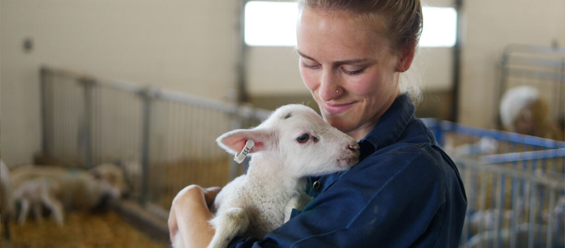 Animal Science | Ontario Agricultural College