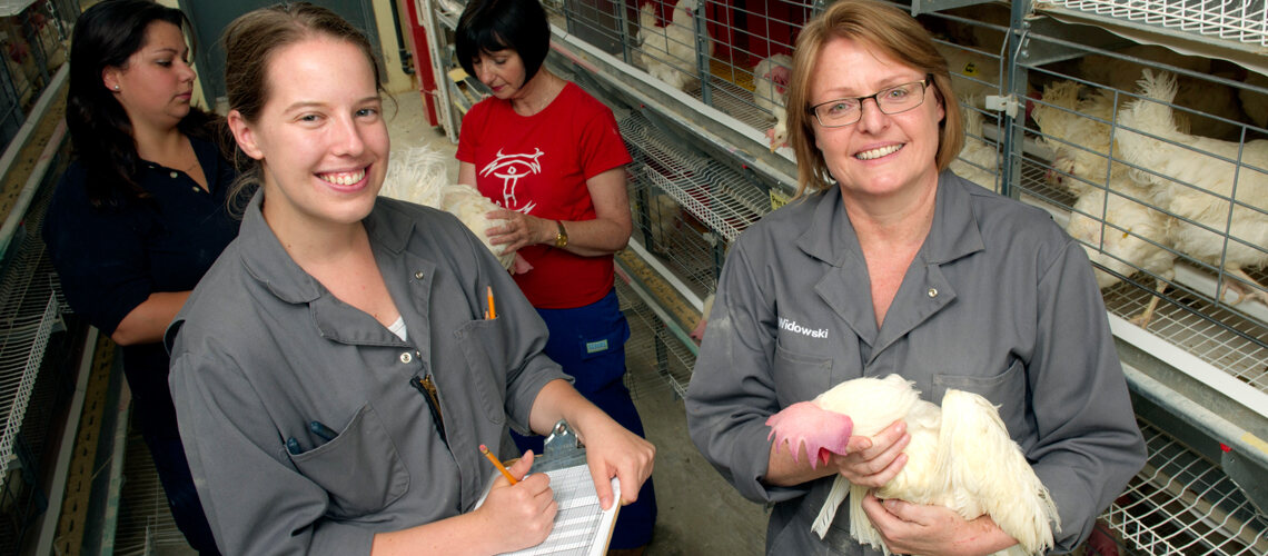 Animal Biosciences (PhD) | Ontario Agricultural College