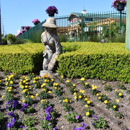 Armstrong Garden Center & Landscape Design Costa Mesa - Orange