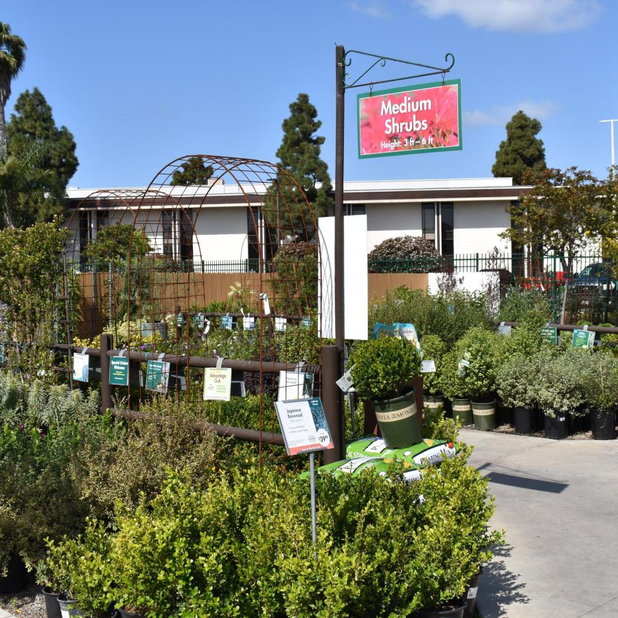 Armstrong Garden Center & Landscape Design Costa Mesa - Orange