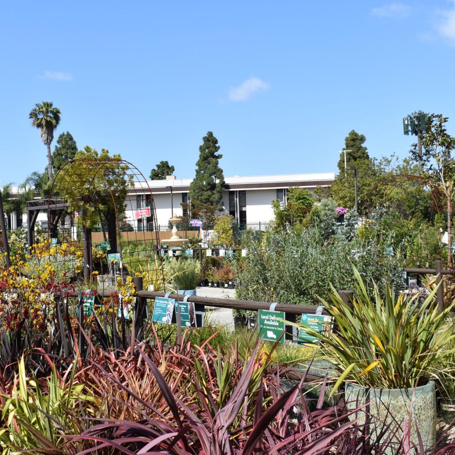 Armstrong Garden Center & Landscape Design Costa Mesa - Orange