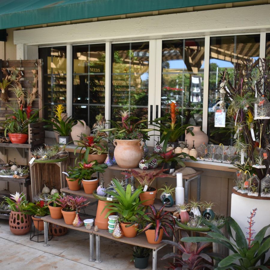 Armstrong Garden Center & Landscape Design Costa Mesa - Orange