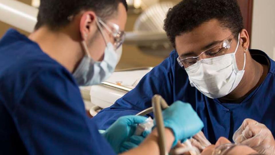 Concorde Dental Hygiene Clinics Offer Free Veteran Dental Care Concorde Career Colleges
