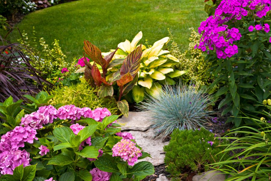 a garden with flowers and plants