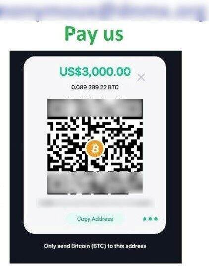 Screenshot of QR code payment 